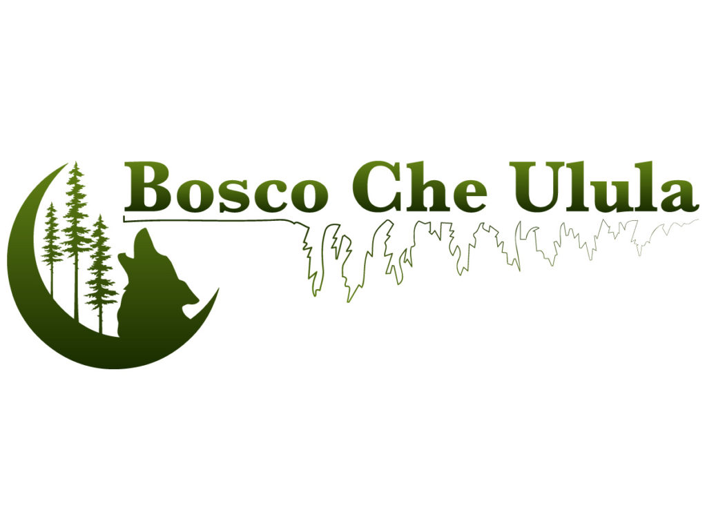 Bosco Che Ulula Logo HQ