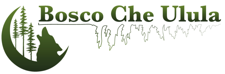 cropped Bosco Che Ulula Logo
