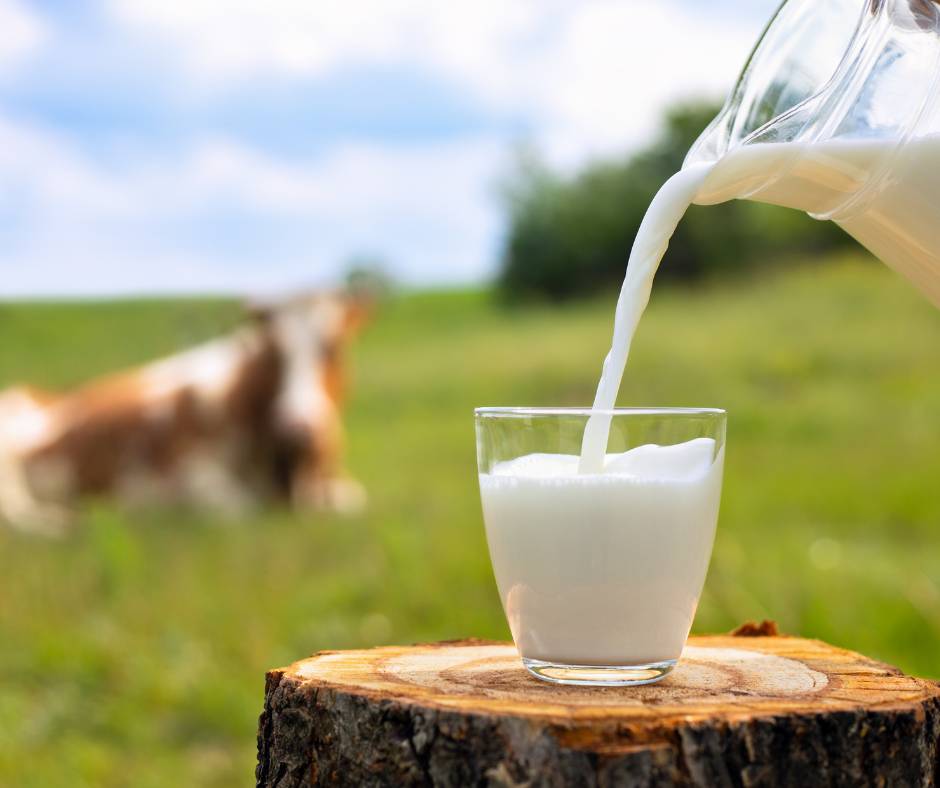 ecologia-domestica-latte